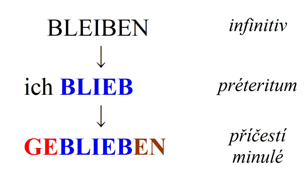 Jak se tvoří minulý čas v němčině?